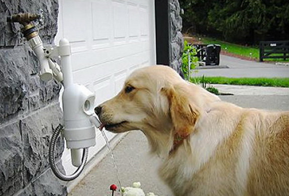 WaterDog Automatic Outdoor Pet Drinking Fountain