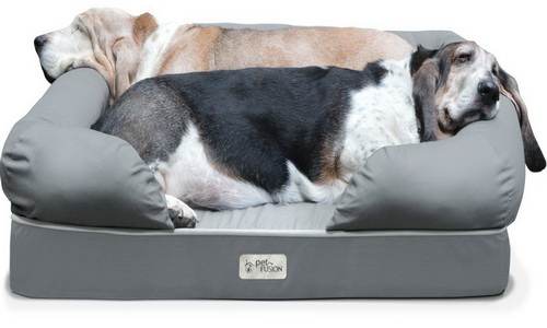 PetFusion Dog Lounge & Bed