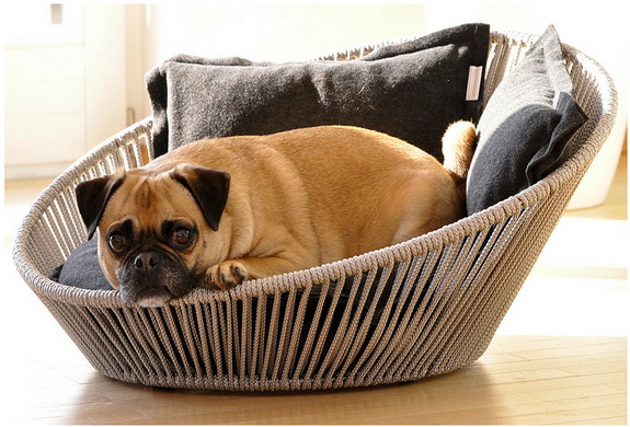 Ultimate Guide to Buy Best Dog Beds 2016