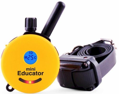 Educator E-Collar Remote Dog Training shock Collar