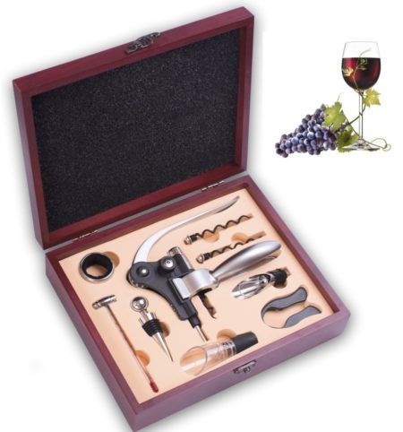IBO N´ Vino 9 Piece Wine Accessories Set – Premium Stainless Steel Wine Tools With Rosewood Box – Aerator, Rabbit Lever Corkscrew, Thermometer & Essential Wine Accessories