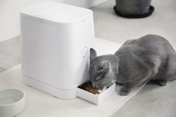 10 Best Automatic Cat Feeder