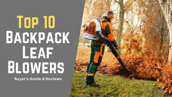 Best Cordless Backpack Leaf Blowers