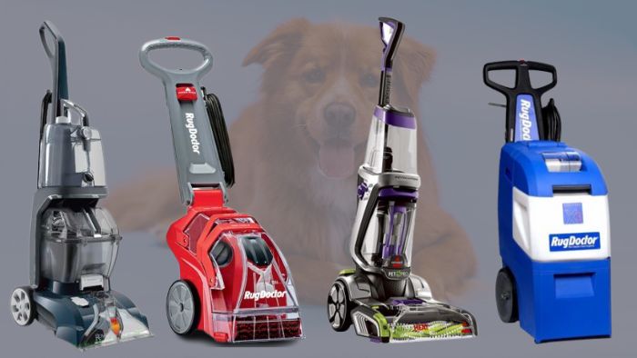 Best Carpet Cleaners For Pet Owners