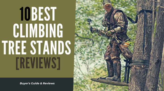 Best Climbing Tree Stand Reviews
