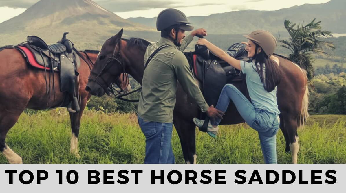 top 10 horse saddles