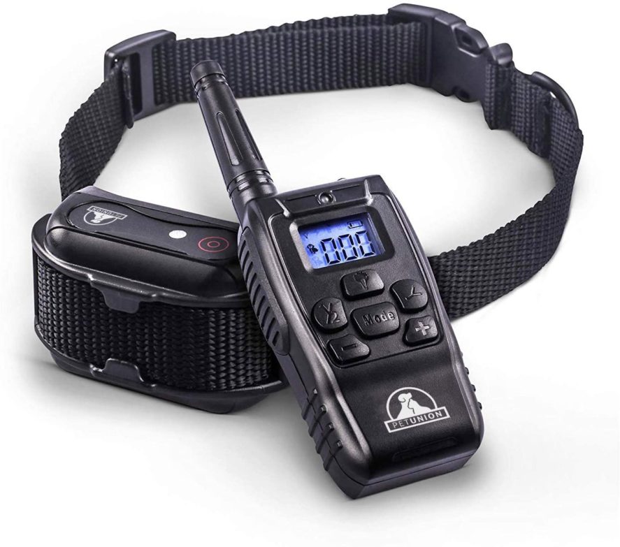 TOP 10 Best Dog Training Collars with Remote 2021