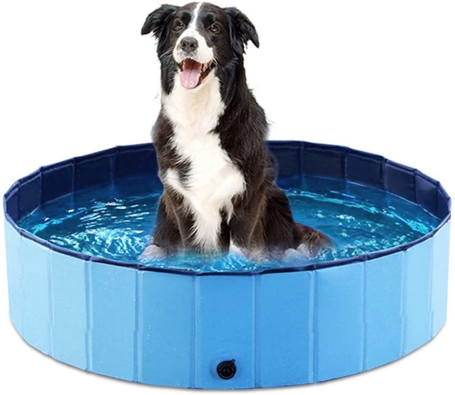 TOP 10 Best Bathtubs For Dogs In 2021 (Reviews)