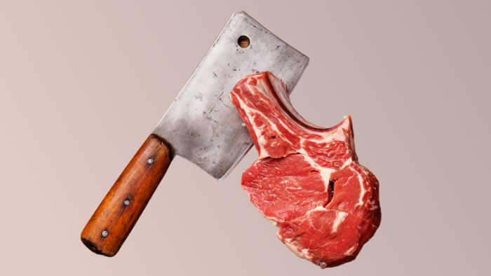 Best Cleaver Knives for Home Use