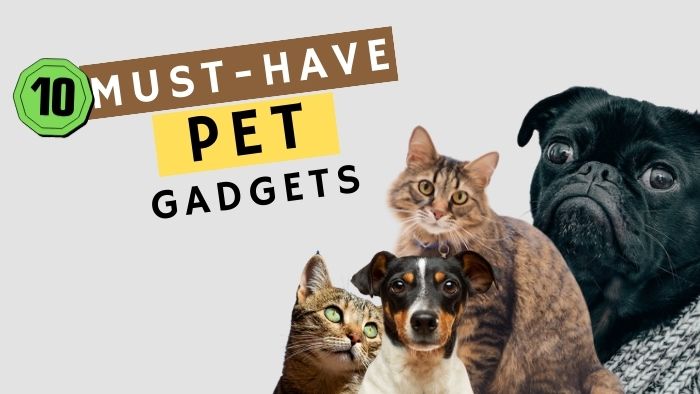 10 Must-Have Pet Gadgets