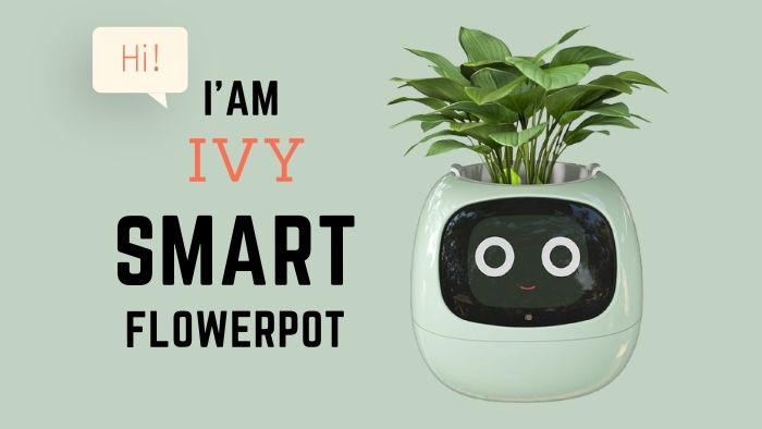 Cute Little Ivy Smart Flowerpot with Feelings and Emotions
